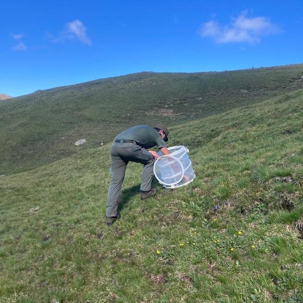 Il monitoraggio degli ortotteri con il tubo di cattura.