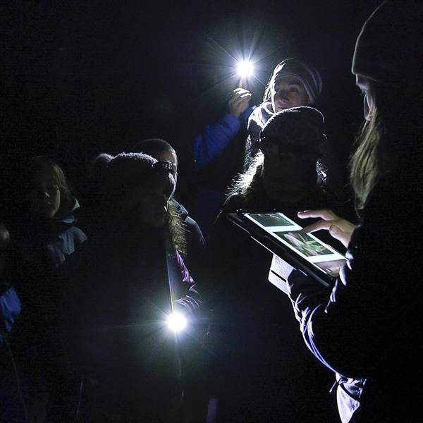La guardiaparco Debora Barolin durante la Notte dei Rospi.