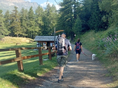 Un chien en laisse devant le Point d\u0027Information de Ser Blanc, Parc Naturel de la Grande Forêt de Salbertand.