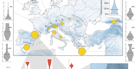 Nell\u0027immagine tratta dall\u0027articolo pubblicato su \u0022Science\u0022, la figura A mostra la distribuzione dei siti campionati. Le dimensioni dei cerchi indicano la proporzione media di estinzioni locali dal 2001 al 2022 in tutte le parcelle di una determinata regione montana. I grafici a violino mostrano la distribuzione dei tassi di estinzione a livello di parcella. Nelle figure B e C si può osservare la distribuzione dei siti in ciascuna regione montana.