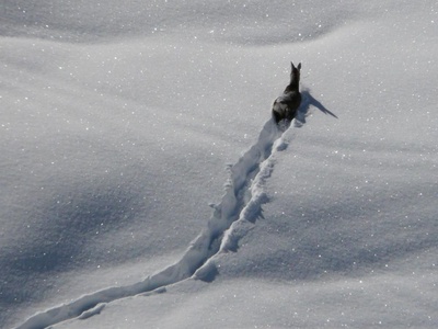 Inverno nel Parco Val Troncea