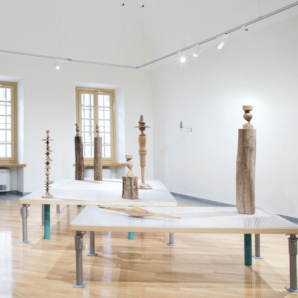 Cime di alberi e gambe di tavolo