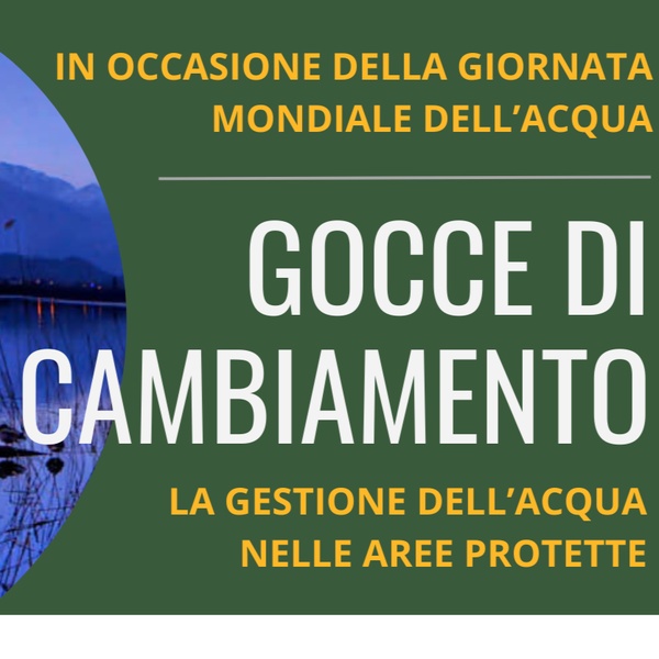 Drops of change \u002D Video screening