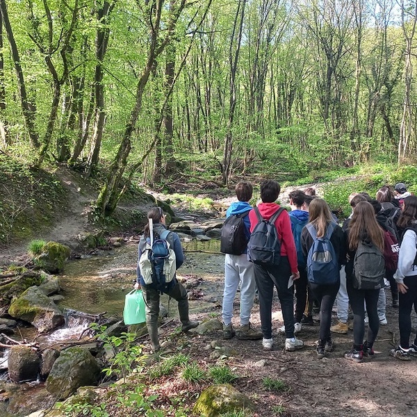 Alla ricerca dei macroinvertebrati