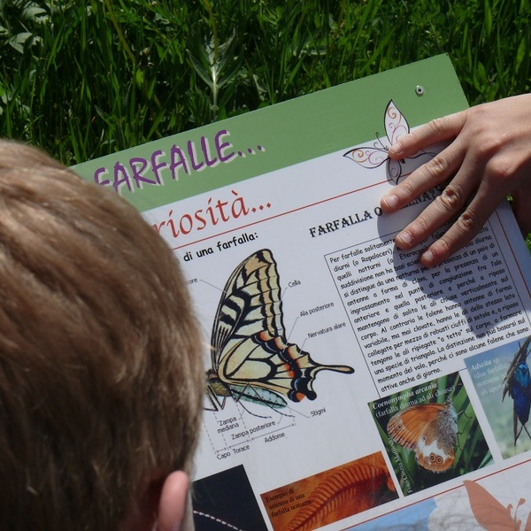 Didattica nel giardino delle farfalle