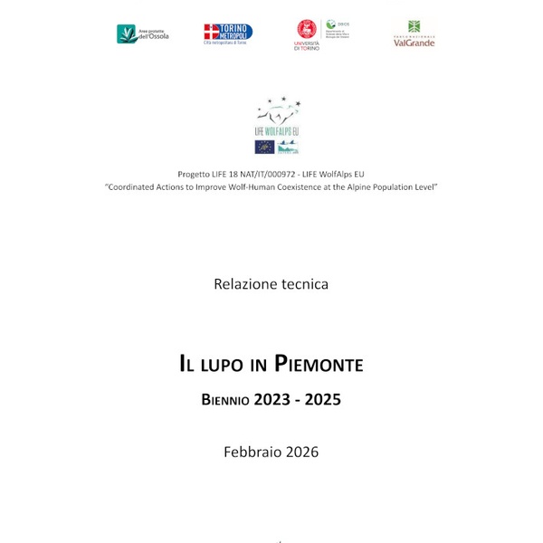 Il frontespizio del report