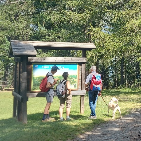 Davanti a una bacheca nel Gran Bosco di Salbertrand.