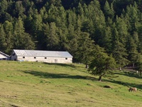 Alpe Arguelle