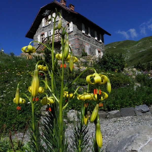 Giardino Botanico Chanousia