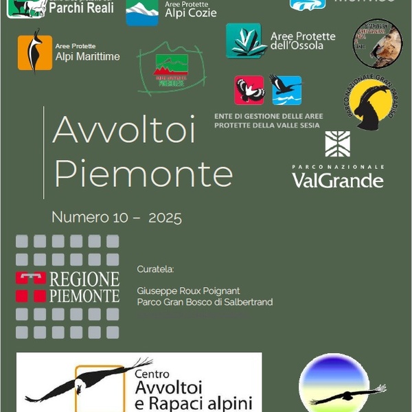 Avvoltoi Piemonte\u002D copertina