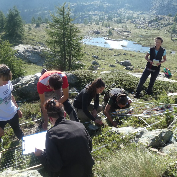 Area di studio nel sito a quota 2340 m, Parco Naturale del Mont Avic, operazioni di rilievo della vegetazione in uno dei plot cluster di 3mx3m.