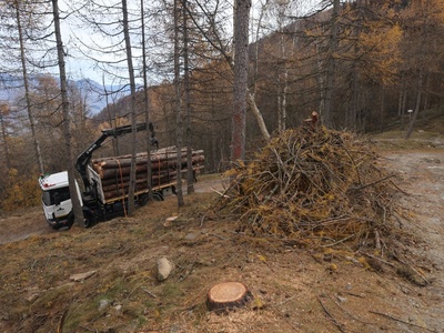 Cantiere Forestale nei Parchi Alpi Cozie