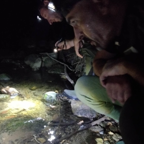 Activités de suivi de l\u0027écrevisse par le personnel des Gardiens de Parc.