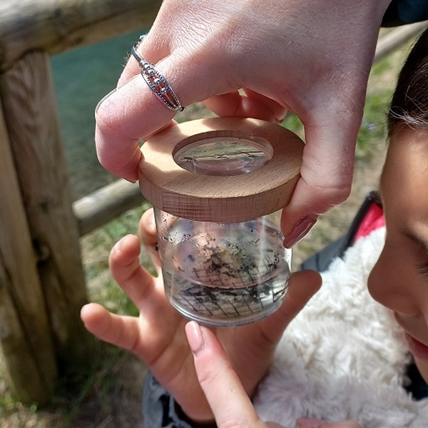 Apprendre à observer