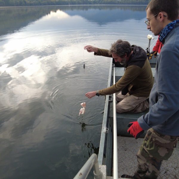 Un amo avec un appât est posé dans le Lac Petit.