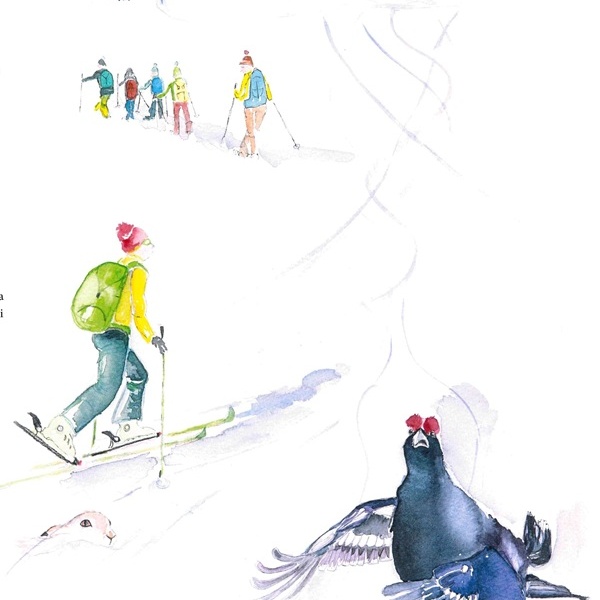 Mese di gennaio: Sci fuoripista