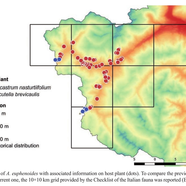 Una mappa dell\u0027alta Valle di Susa che mostra il confronto tra presenze storiche e attuali di Anthocharis euphenoides.