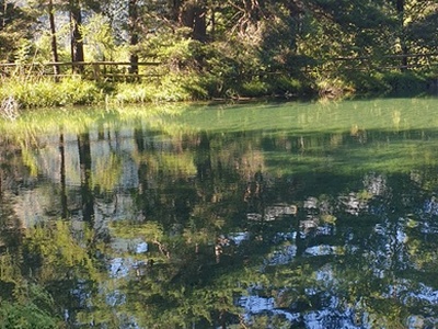 Lago ghiacciaia