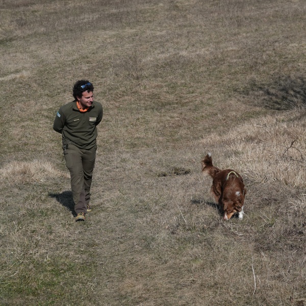 Lorenzo Brino e Maya durante un\u0027ispezione in campo aperto.