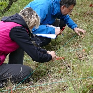 Monitoraggio della Biodiversità Animale in Ambiente Alpino