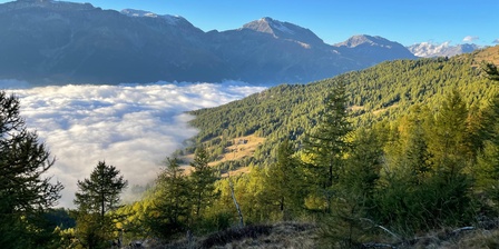 Parco naturale del Gran Bosco di Salbertrand