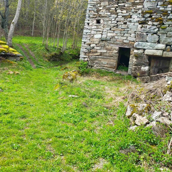 Uno scatto che testimonia lo stato di abbandono della mulattiera tra la Fontana della Gerpula e il Rifugio Amprimo.