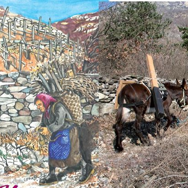 Transport de marchandises