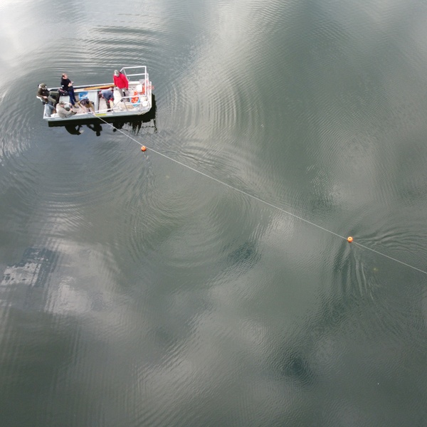 La posa dei palamiti durante le attività di pesca scientifica.