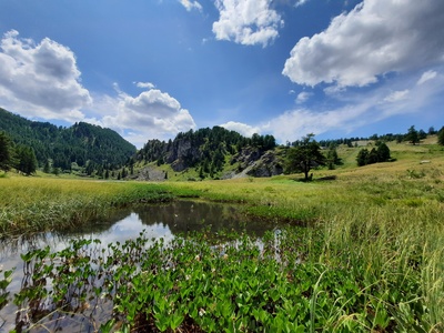 ZSC Cima Fournier Lago Nero