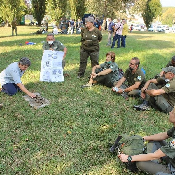 Formazione nuovi operatori per monitoraggio lupo (Azione A5)