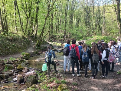 Alla ricerca dei macroinvertebrati