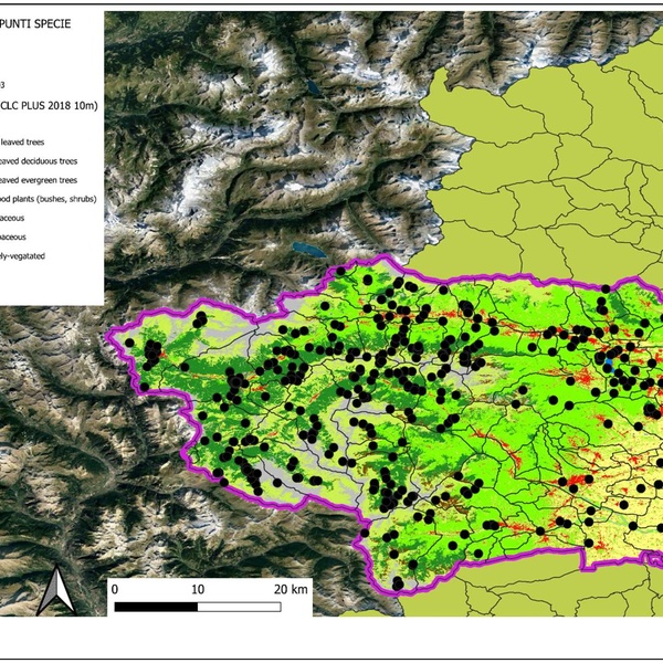 La mappa dell\u0027area di studio con l\u0027indicazione dei punti di osservazione.