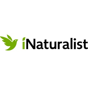 Le projet Zones protégées des Alpes Cozie sur iNaturalist