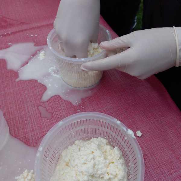 Laboratoire de fromagerie