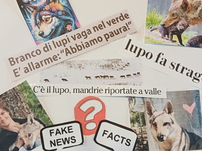 collage di Tiziana di Martino