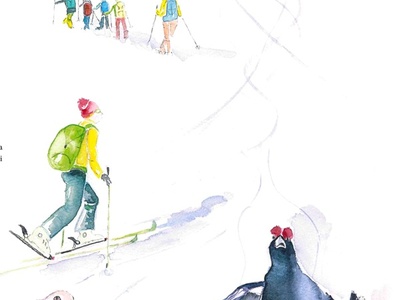 Mese di gennaio: Sci fuoripista