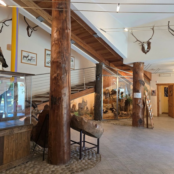 Centro visita \u002D spazio museale