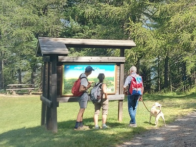 Davanti a una bacheca nel Gran Bosco di Salbertrand.