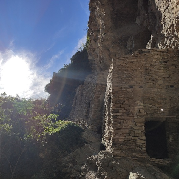 Lazzareto \u002D Foresto