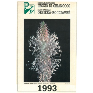 Calendario 1993
