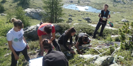 Area di studio nel sito a quota 2340 m, Parco Naturale del Mont Avic, operazioni di rilievo della vegetazione in uno dei plot cluster di 3mx3m.