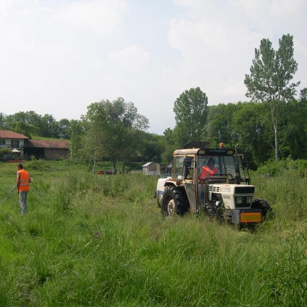 Une phase de désinsectisation