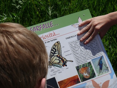Didattica nel giardino delle farfalle