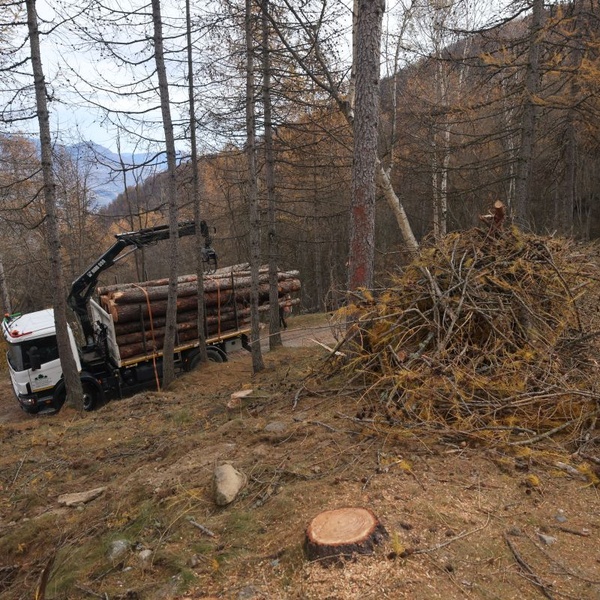 Cantiere Forestale nei Parchi Alpi Cozie