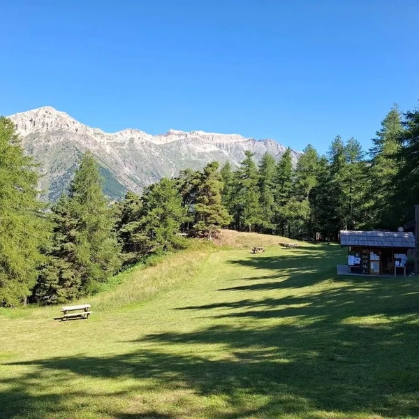 Punto info Ser Blanc Parco naturale Gran Bosco di Salbertrand