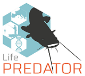 Life Predator